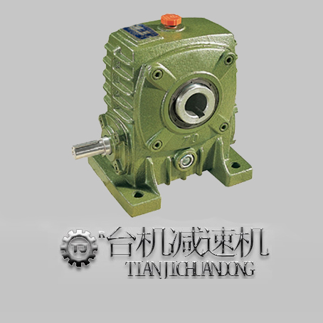 廣東知名wp蝸輪減速機廠-實力護航！